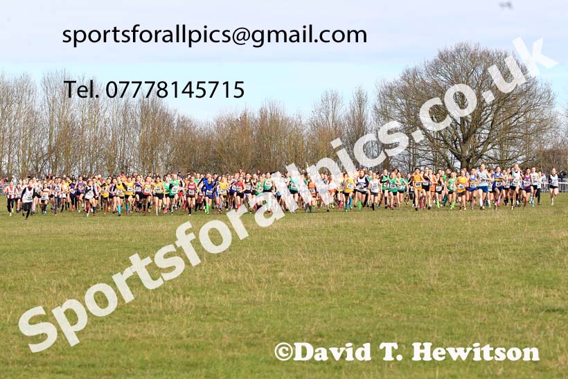 Girls Under-13s 2023 UK CAU Inter Counties Cross Country Champs, Prestwold Hall, Loughborough. Photo: David T. Hewitson/Sports for All Pics